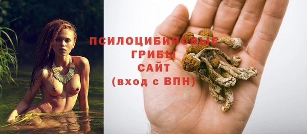 apvp Карталы