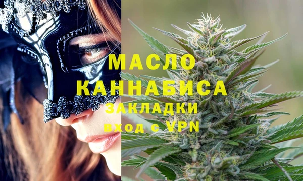 мдпв Каменногорск