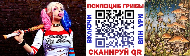 Псилоцибиновые грибы ЛСД Гаджиево